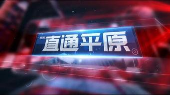 新乡今日爆料新闻直播回放,直播回放揭示最新热点事件 第2张 新乡今日爆料新闻直播回放,直播回放揭示最新热点事件 第2张